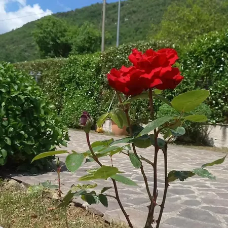 Tenuta Armida Liberi